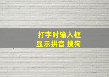 打字时输入框显示拼音 搜狗